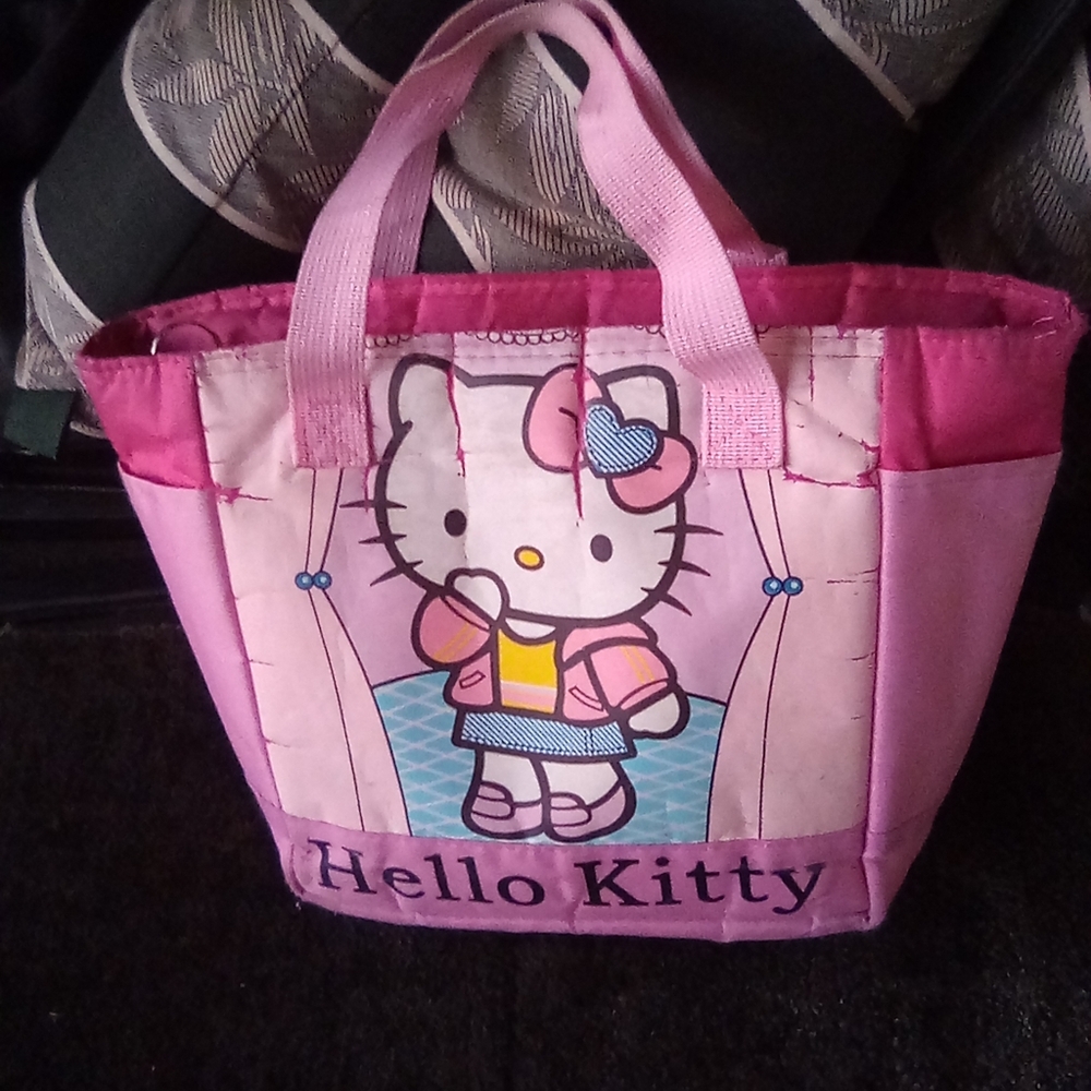 Hello Kitty Zippered Satchel Or Lunch Bag .Size Large.